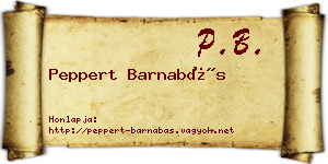 Peppert Barnabás névjegykártya