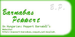 barnabas peppert business card